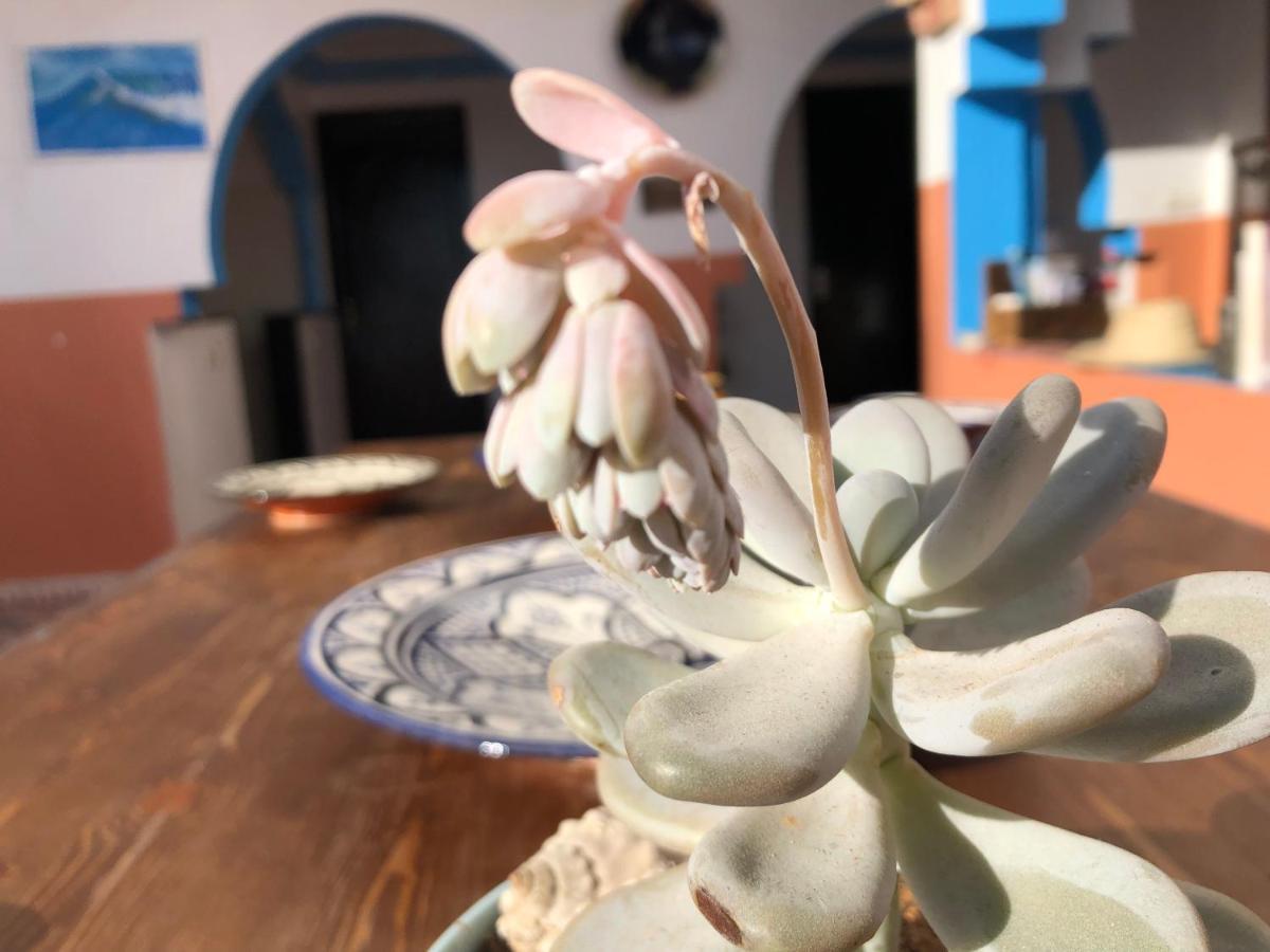 Binic Surf House Bed & Breakfast Taghazout Exterior foto