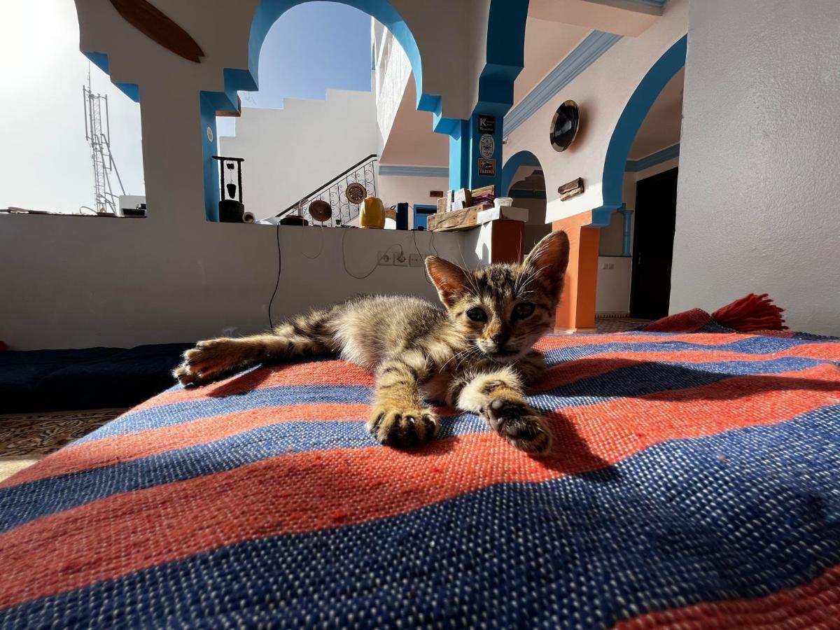 Binic Surf House Bed & Breakfast Taghazout Exterior foto